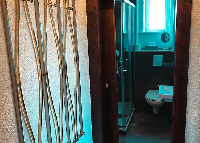 فندق Haensch غروسشوناو